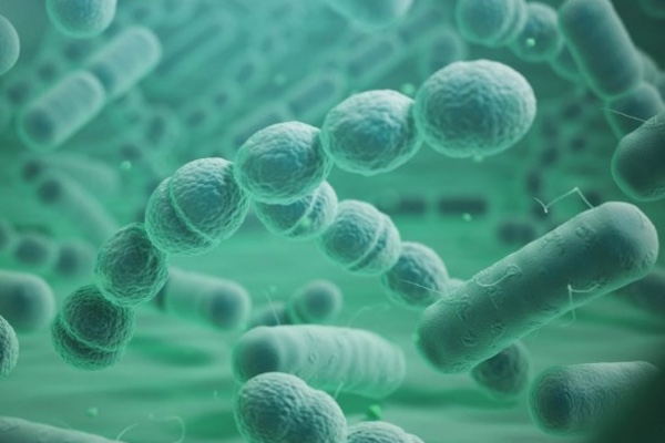 La legionella en torres de refrigeración